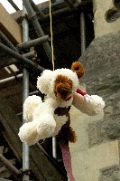 soft toy bungee jump