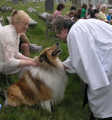 Pet blessing service
